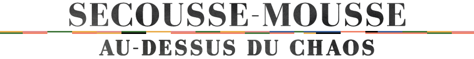 logo du site / secousse-mousse